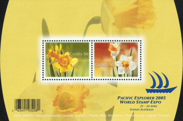 [Daffodils, type ]