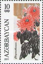 [Flowers - Chrysanthemums, type ADE]
