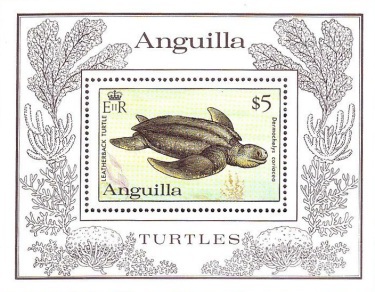 [World Wildlife Fund - Turtle, type ]