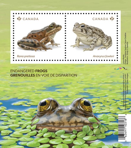 [Endangered Frogs, type ]