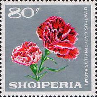 [Flowers, type ADQ]