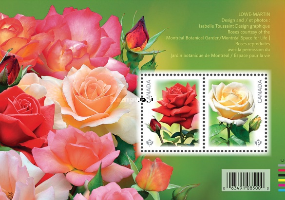 [Flowers - Roses, type ]