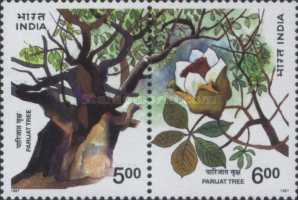 [Parijati Tree, type AZL]