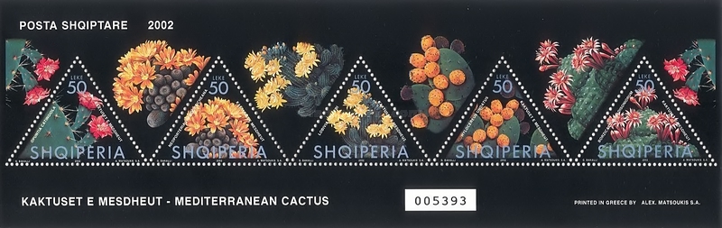 [Mediterranean Cactuses, type ]
