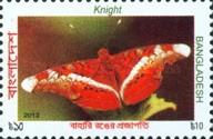 [Butterflies of Bangladesh, type AMU]