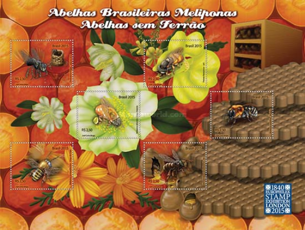 [Brazilian Meliponinae Bees, type ]