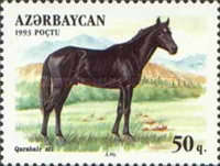 [Horses, type AB]