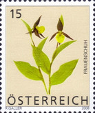 [Flowers, type CNI]