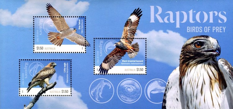 [Australian Raptors - Birds of Prey, type ]