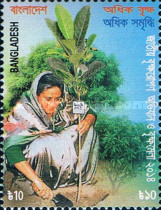 [National Deforestation Campaign, type AOM]