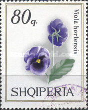 [Violets, type AGP]