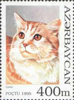 [Cats, type GR]