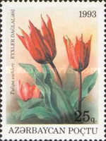 [Flowers, type AI]
