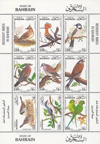 [Birds, type ]