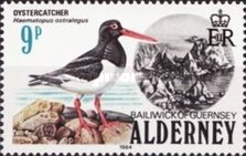 [Birds, type M]