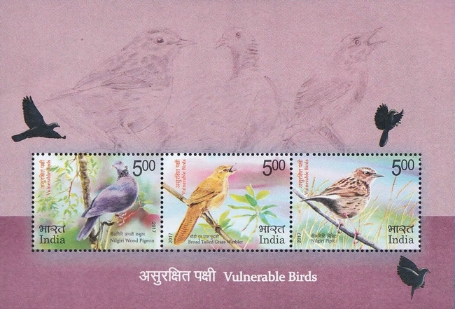 [Vulnerable Birds, type ]