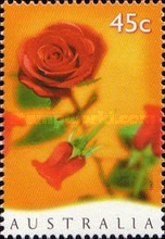 [Valentine`s Day, type BAN]