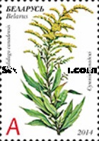 [Flora - Invasive Plants of Belarus, type AJQ]
