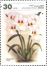 [Flowers - Orchids, type AWF]