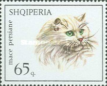 [Cats, type YTT]
