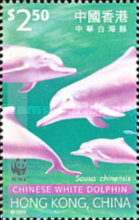 [Endangered Species - Indo-Pacific Humpbacked Dolphin, "Chinese White Dolphin", type ABS]