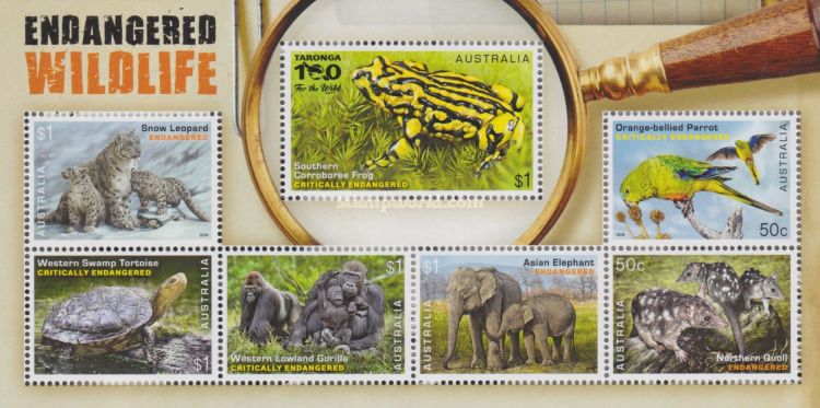 [Endangered Wildlife, type ]