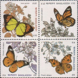 [Butterflies, type ]