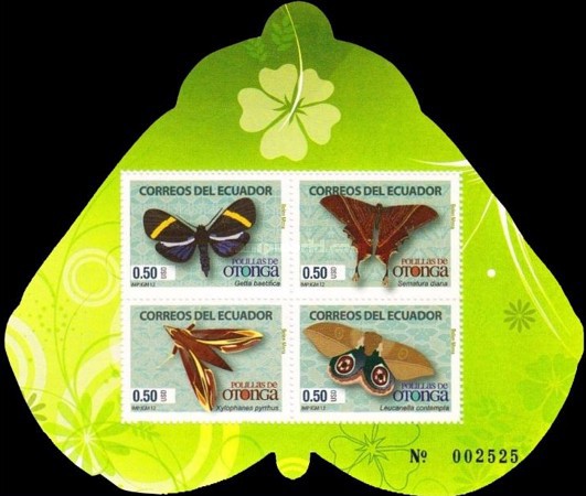[Fauna - Moths, type ]