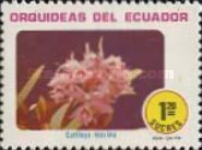 [Orchids, type BQQ]