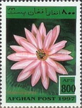 [Flora - Flowers, type AOH]