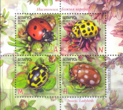 [Insects - Ladybirds, type ]