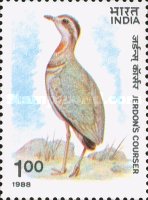 [Wildlife Conservation. Jerdon's Courser, type ALQ]