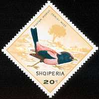 [Birds, type AFF]
