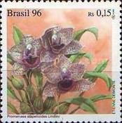 [The 15th Anniversary of the International Orchid Conference, Rio de Janeiro, type CYE]