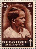 [The struggle against Tuberculosis, type FS]