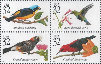 [Tropical Birds, type ]