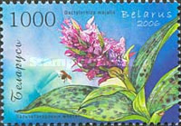 [Orchids of Belarus, type VU]