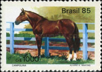 [Brazilian Horses, type CAK]