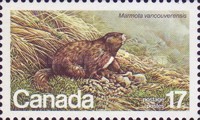 [Endangered Wildlife, type AAD]