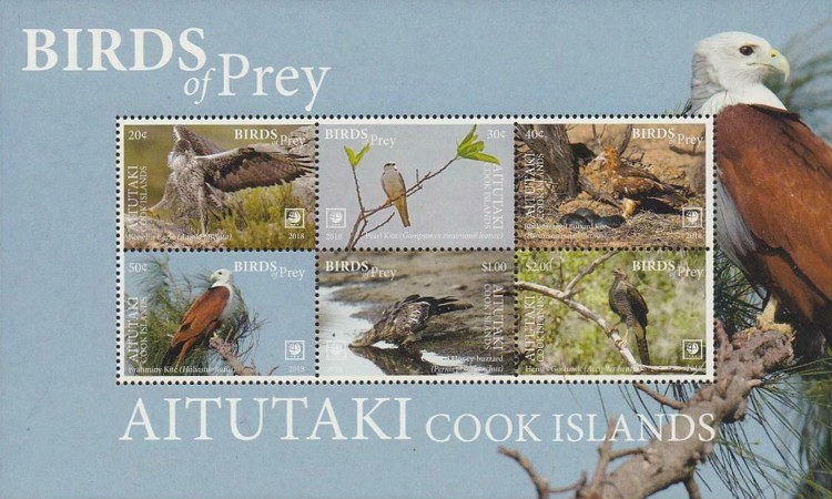 [Birds of Prey - White Frame on 1 or 2 Sides, type ]