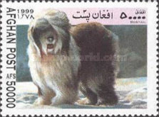 [Dogs, type ASK]
