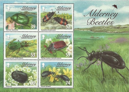 [Fauna - Alderney Beetles, type ]