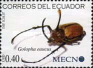 [Giant Beetles, type DJD]