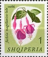 [Flowers, type TR]