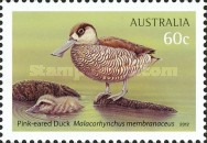 [Australian Water Birds, type DQC]