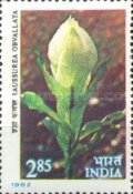 [Himalayan Flowers, type ABE]
