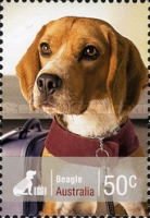 [Working Dogs, type DAJ]