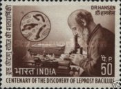 [The 100th Anniversary of the Discovery of Leprosy Bacillus by Dr. G. A. Hansen, type OB]