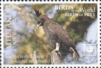 [Birds of the World - Birds of Prey - White Frame, type AAE]