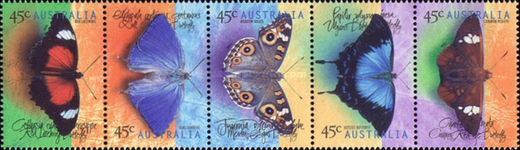 [Butterflies, type ]